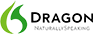Dragon Naturally Speaking